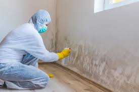 Best Emergency Mold Remediation  in Arcanum, OH